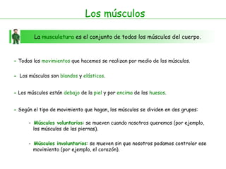 Los músculos
La musculatura es el conjunto de todos los músculos del cuerpo.
- Todos los movimientos que hacemos se realizan por medio de los músculos.
- Los músculos son blandos y elásticos.
- Los músculos están debajo de la piel y por encima de los huesos.
- Según el tipo de movimiento que hagan, los músculos se dividen en dos grupos:
- Músculos voluntarios: se mueven cuando nosotros queremos (por ejemplo,
los músculos de las piernas).
- Músculos involuntarios: se mueven sin que nosotros podamos controlar ese
movimiento (por ejemplo, el corazón).
 