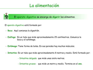 La alimentación
El aparato digestivo se encarga de digerir los alimentos.
El aparato digestivo está formado por:
- Boca:
- Esófago:
Aquí comienza la digestión.
Es un tubo que mide aproximadamente 25 centímetros. Comunica la
boca y el estómago.
- Estómago:
- Intestino:
Tiene forma de bolsa. En sus paredes hay muchos músculos.
Es un tubo que mide aproximadamente 8 metros y medio. Está formado por:
- Intestino delgado: que mide unos siete metros.
- Intestino grueso: que mide un metro y medio. Termina en el ano.
 