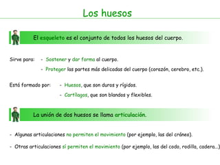 Los huesos El  esqueleto  es el conjunto de todos los huesos del cuerpo. Sirve para: -  Sostener  y  dar forma  al cuerpo. -  Proteger  las partes más delicadas del cuerpo (corazón, cerebro, etc.). Está formado por: -  Huesos , que   son duros y rígidos. -  Cartílagos , que   son blandos y flexibles. La unión de dos huesos se llama  articulación . -  Algunas articulaciones  no permiten el movimiento  (por ejemplo, las del cráneo). -  Otras articulaciones  sí permiten el movimiento  (por ejemplo, las del codo, rodilla, cadera...) 