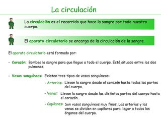 La circulación La  circulación  es el recorrido que hace la sangre por todo nuestro cuerpo. El  aparato circulatorio  se encarga de la circulación de la sangre. El  aparato circulatorio  está formado por: -  Corazón : -  Vasos sanguíneos : Bombea la sangre para que llegue a todo el cuerpo. Está situado entre los dos pulmones. Existen tres tipos de vasos sanguíneos: -  Arterias : -  Venas : Llevan la sangre desde el corazón hasta todas las partes del cuerpo. Llevan la sangre desde las distintas partes del cuerpo hasta el corazón. -  Capilares : Son vasos sanguíneos muy finos. Las arterias y las venas se dividen en capilares para llegar a todos los órganos del cuerpo.  