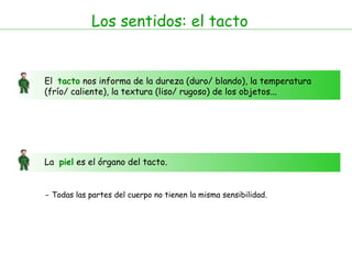 Los sentidos: el tacto El  tacto  nos informa de la dureza (duro/ blando), la temperatura  (frío/ caliente), la textura (liso/ rugoso) de los objetos...  La  piel  es el órgano del tacto.  -  Todas las partes del cuerpo no tienen la misma sensibilidad. 