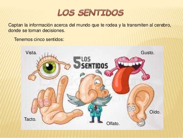Imagen relacionada