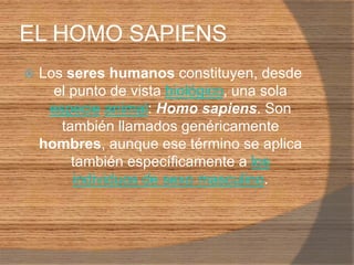 EL HOMO SAPIENSLos seres humanos constituyen, desde el punto de vista biológico, una sola especieanimal: Homo sapiens. Son también llamados genéricamente hombres, aunque ese término se aplica también específicamente a los individuos de sexo masculino.