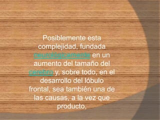 Posiblemente esta complejidad, fundada neurológicamente en un aumento del tamaño del cerebro y, sobre todo, en el desarrollo del lóbulo frontal, sea también una de las causas, a la vez que producto, 