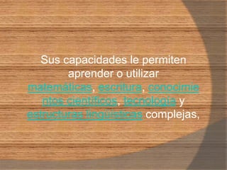 Sus capacidades le permiten aprender o utilizar matemáticas, escritura, conocimientos científicos, tecnología y estructuras lingüísticas complejas,