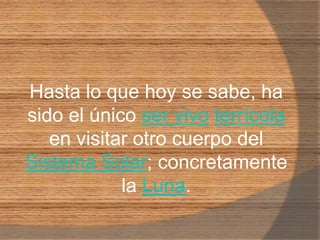 Hasta lo que hoy se sabe, ha sido el único ser vivoterrícola en visitar otro cuerpo del Sistema Solar; concretamente la Luna.