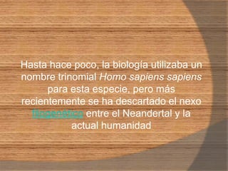 Hasta hace poco, la biología utilizaba un nombre trinomialHomo sapiens sapiens para esta especie, pero más recientemente se ha descartado el nexo filogenético entre el Neandertal y la actual humanidad