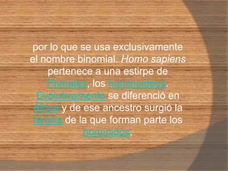 por lo que se usa exclusivamente el nombre binomial. Homo sapiens pertenece a una estirpe de Primates, los hominoideos. Evolutivamente se diferenció en África y de ese ancestro surgió la familia de la que forman parte los homínidos.
