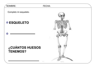 NOMBRE: FECHA: Completo mi esqueleto. ESQUELETO ¿CUÁNTOS HUESOS TENEMOS?  _________________ 