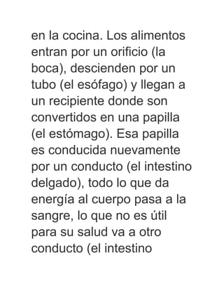 en la cocina. Los alimentos
entran por un orificio (la
boca), descienden por un
tubo (el esófago) y llegan a
un recipiente donde son
convertidos en una papilla
(el estómago). Esa papilla
es conducida nuevamente
por un conducto (el intestino
delgado), todo lo que da
energía al cuerpo pasa a la
sangre, lo que no es útil
para su salud va a otro
conducto (el intestino
 