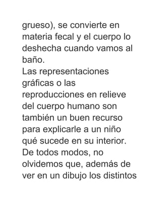 grueso), se convierte en
materia fecal y el cuerpo lo
deshecha cuando vamos al
baño.
Las representaciones
gráficas o las
reproducciones en relieve
del cuerpo humano son
también un buen recurso
para explicarle a un niño
qué sucede en su interior.
De todos modos, no
olvidemos que, además de
ver en un dibujo los distintos
 
