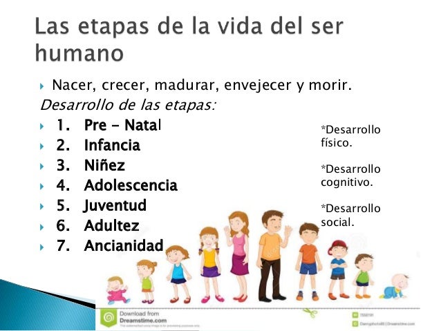 El cuerpo humano, como esta formado