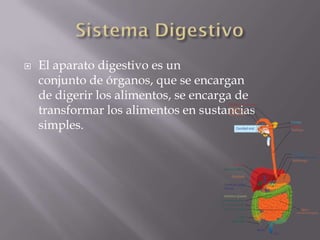    El aparato digestivo es un
    conjunto de órganos, que se encargan
    de digerir los alimentos, se encarga de
    transformar los alimentos en sustancias
    simples.
 
