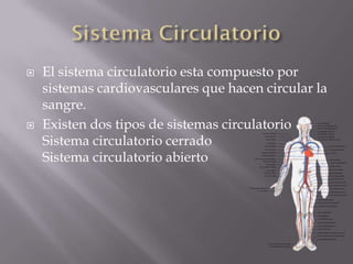    El sistema circulatorio esta compuesto por
    sistemas cardiovasculares que hacen circular la
    sangre.
   Existen dos tipos de sistemas circulatorio
    Sistema circulatorio cerrado
    Sistema circulatorio abierto
 