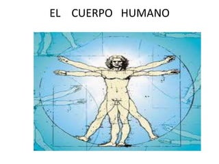 EL CUERPO HUMANO
 
