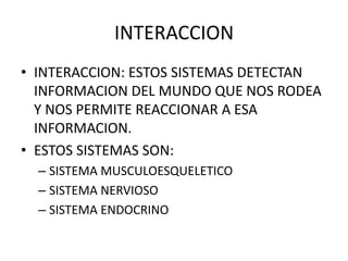 INTERACCION
• INTERACCION: ESTOS SISTEMAS DETECTAN
INFORMACION DEL MUNDO QUE NOS RODEA
Y NOS PERMITE REACCIONAR A ESA
INFORMACION.
• ESTOS SISTEMAS SON:
– SISTEMA MUSCULOESQUELETICO
– SISTEMA NERVIOSO
– SISTEMA ENDOCRINO
 