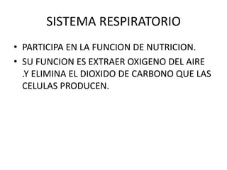 SISTEMA RESPIRATORIO
• PARTICIPA EN LA FUNCION DE NUTRICION.
• SU FUNCION ES EXTRAER OXIGENO DEL AIRE
.Y ELIMINA EL DIOXIDO DE CARBONO QUE LAS
CELULAS PRODUCEN.
 