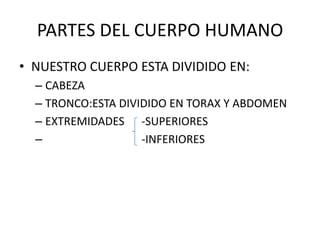 PARTES DEL CUERPO HUMANO
• NUESTRO CUERPO ESTA DIVIDIDO EN:
– CABEZA
– TRONCO:ESTA DIVIDIDO EN TORAX Y ABDOMEN
– EXTREMIDADES -SUPERIORES
– -INFERIORES
 
