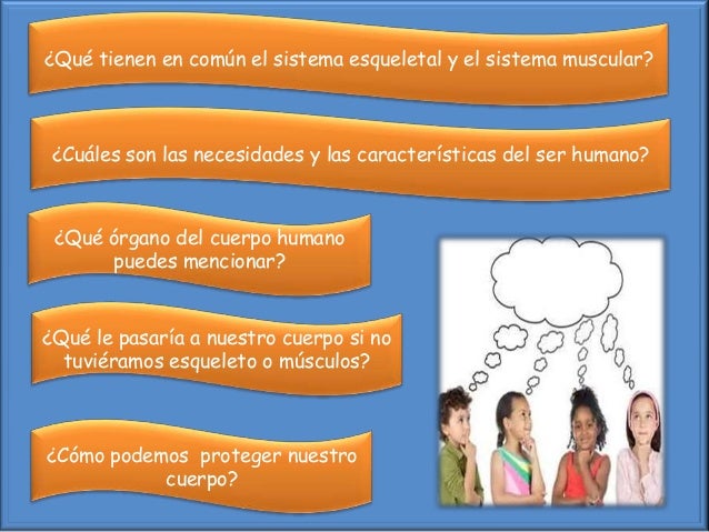 Que Pasaria Si No Tuvieramos Sistema Nervioso