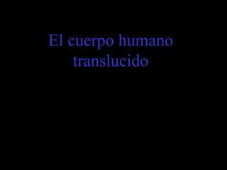 El cuerpo humano translucido 