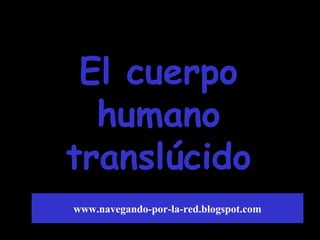 El cuerpoEl cuerpo
humanohumano
translúcidotranslúcido
www.navegando-por-la-red.blogspot.com
 
