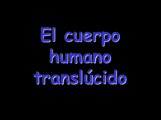 El cuerpo
  humano
translúcido
 