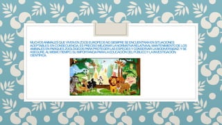 MUCHOSANIMALESQUEVIVENENZOOSEUROPEOSNOSIEMPRESEENCUENTRANENSITUACIONES
ACEPTABLES.ENCONSECUENCIA,ESPRECISOMEJORARLANORMATIVARELATIVAALMANTENIMIENTODELOS
ANIMALESENPARQUESZOOLÓGICOSPARAPROTEGERLASESPECIESYCONSERVARLABIODIVERSIDAD,YSE
ASEGURE,ALMISMOTIEMPO,SUIMPORTANCIAPARALAEDUCACIÓNDELPÚBLICOYLAINVESTIGACIÓN
CIENTÍFICA.
 