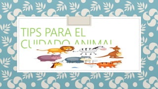 TIPS PARA EL
CUIDADO ANIMAL
 