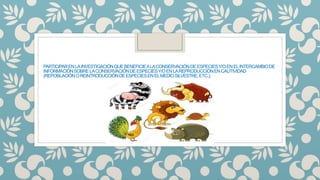 PARTICIPARENLAINVESTIGACIÓNQUEBENEFICIEALACONSERVACIÓNDEESPECIESY/OENELINTERCAMBIODE
INFORMACIÓNSOBRELACONSERVACIÓNDEESPECIESY/OENLAREPRODUCCIÓNENCAUTIVIDAD
(REPOBLACIÓNOREINTRODUCCIÓNDEESPECIESENELMEDIOSILVESTRE,ETC.);
 