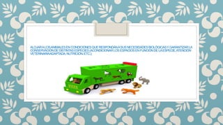 ALOJARALOSANIMALESENCONDICIONESQUERESPONDANASUSNECESIDADESBIOLÓGICASYGARANTIZARLA
CONSERVACIÓNDEDISTINTASESPECIES(ACONDICIONARLOSESPACIOSENFUNCIÓNDELAESPECIE,ATENCIÓN
VETERINARIAADAPTADA,NUTRICIÓN,ETC.);
 