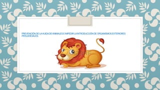 PREVENCIÓNDELAHUIDADEANIMALESEIMPEDIRLAINTRODUCCIÓNDEORGANISMOSEXTERIORES
PERJUDICIALES;
 