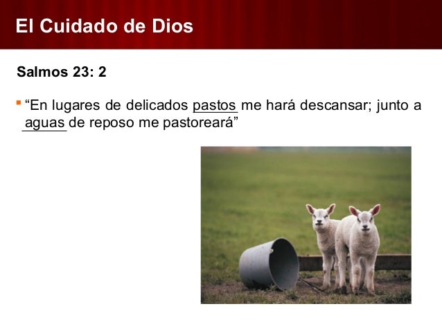 Predica El Salmo 23 | el cuidado de dios predicaci 243 n sobre el salmo 23 Predica El Salmo 23 | el cuidado de dios predicaci 243 n sobre el salmo 23