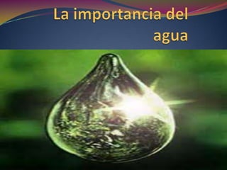 La importancia del agua 