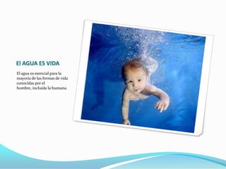 El AGUA ES VIDAEl agua es esencial para la mayoría de las formas de vida conocidas por el hombre, incluida la humana.