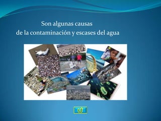Son algunas causas
de la contaminación y escases del agua
 