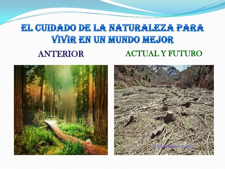 Resultado de imagen para cuidado de la naturaleza