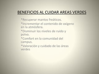 BENEFICIOS AL CUIDAR AREAS VERDES
*Recuperar mantos freáticos.
*Incrementar el contenido de oxígeno
en la atmósfera.
*Disminuir los niveles de ruido y
polvo.
*Comfort en la comunidad del
campus.
*Valoración y cuidado de las áreas
verdes
 