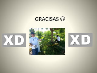 GRACISAS 
 