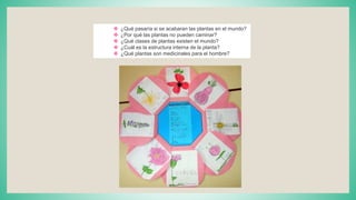 v ¿Qué pasaría si se acabaran las plantas en el mundo?
v ¿Por qué las plantas no pueden caminar?
v ¿Qué clases de plantas existen el mundo?
v ¿Cuál es la estructura interna de la planta?
v ¿Qué plantas son medicinales para el hombre?
 