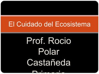 El Cuidado del Ecosistema

     Prof. Rocio
        Polar
     Castañeda
 