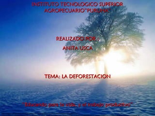 INSTITUTO TECNOLOGICO SUPERIOR
                                          AGROPECUARIO”PURUHA”




                                                                  REALIZADO POR :
                                                                          ANITA USCA




                                                    TEMA: LA DEFORESTACION




                         “Educando para la vida, y el trabajo productivo”
http://images.google.com/imgres?imgurl=http://www.derecho.uchile.cl/cdrc/imagenes/arbol%2520a
 