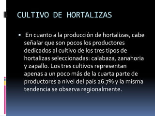 CULTIVO DE HORTALIZAS

 En cuanto a la producción de hortalizas, cabe
  señalar que son pocos los productores
  dedicados al cultivo de los tres tipos de
  hortalizas seleccionadas: calabaza, zanahoria
  y zapallo. Los tres cultivos representan
  apenas a un poco más de la cuarta parte de
  productores a nivel del país 26.7% y la misma
  tendencia se observa regionalmente.
 