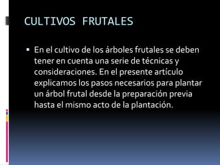 CULTIVOS FRUTALES

 En el cultivo de los árboles frutales se deben
  tener en cuenta una serie de técnicas y
  consideraciones. En el presente artículo
  explicamos los pasos necesarios para plantar
  un árbol frutal desde la preparación previa
  hasta el mismo acto de la plantación.
 