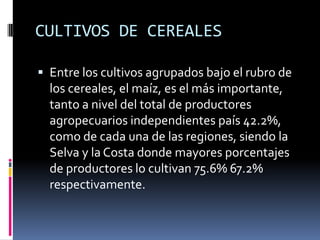CULTIVOS DE CEREALES

 Entre los cultivos agrupados bajo el rubro de
  los cereales, el maíz, es el más importante,
  tanto a nivel del total de productores
  agropecuarios independientes país 42.2%,
  como de cada una de las regiones, siendo la
  Selva y la Costa donde mayores porcentajes
  de productores lo cultivan 75.6% 67.2%
  respectivamente.
 