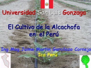 Universidad San Luis Gonzaga

  El Cultivo de la Alcachofa
          en el Perú

Ing.Mag.Jaime Martin Garcilazo Cornejo
               Ica Perú
 
