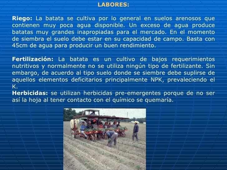 Los modos del tratamiento de las micosis de las uñas