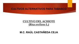 CULTIVOS ALTERNATIVOS PARA TABASCO
CULTIVO DEL ACHIOTE
(Bixa orellana L.)
M.C. RAÚL CASTAÑEDA CEJA
 