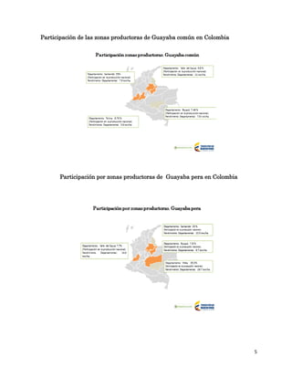 5
Participación de las zonas productoras de Guayaba común en Colombia
Participación por zonas productoras de Guayaba pera ...