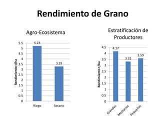 El cultivo del arroz en Costa Rica