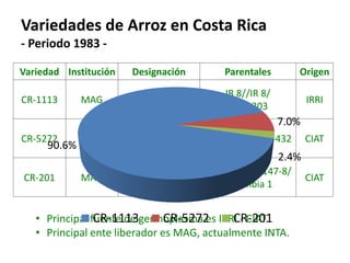 El cultivo del arroz en Costa Rica